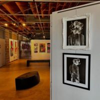 Borrego Art Insitute