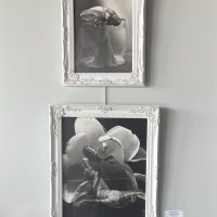 Borrego Art Institute
