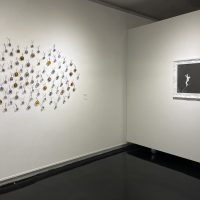 Elaine Curtis Magic Silver Show